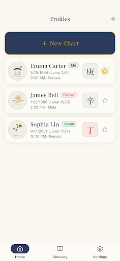 Four Pillars - Saju Chart screenshot 1